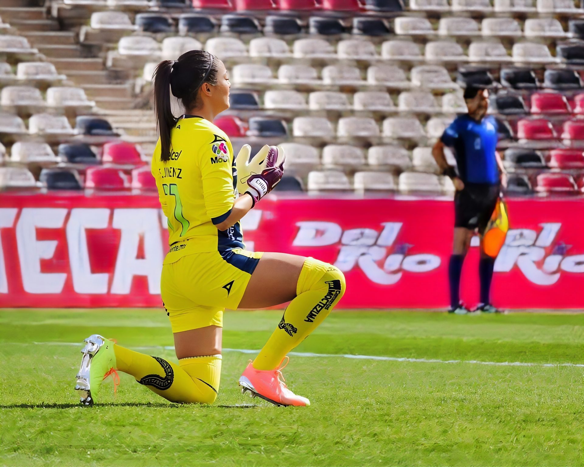 Stefani Jimenez Stefani Jimenez