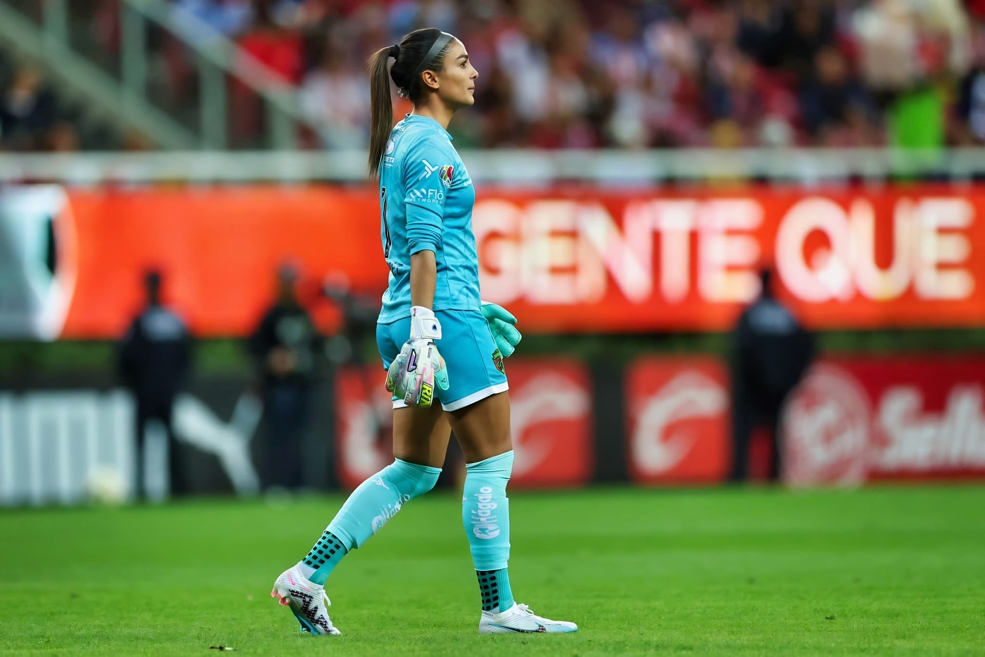 Stefani Jimenez Stefani Jimenez